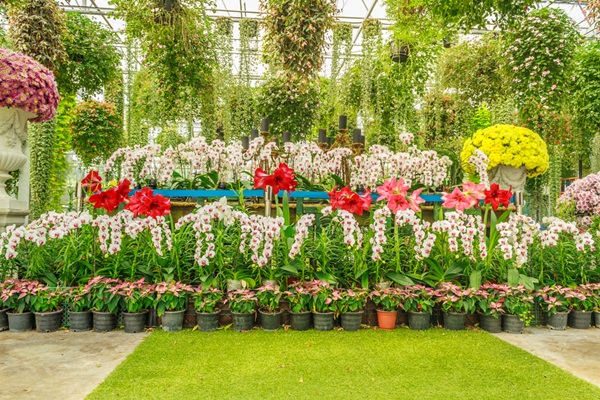 ปราจีนบุรี ปราจีนบุรี