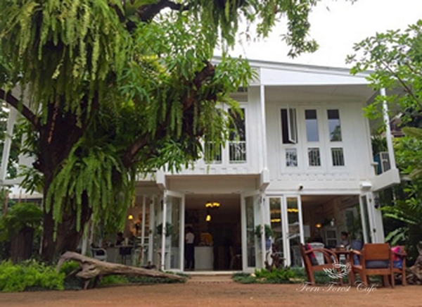 รีโนเวทบ้านเก่าอายุ 44 ปี เป็นร้านกาแฟในฝันกลางสวนเฟิร์น รีโนเวทบ้านเก่าอายุ 44 ปี เป็นร้านกาแฟในฝันกลางสวนเฟิร์น