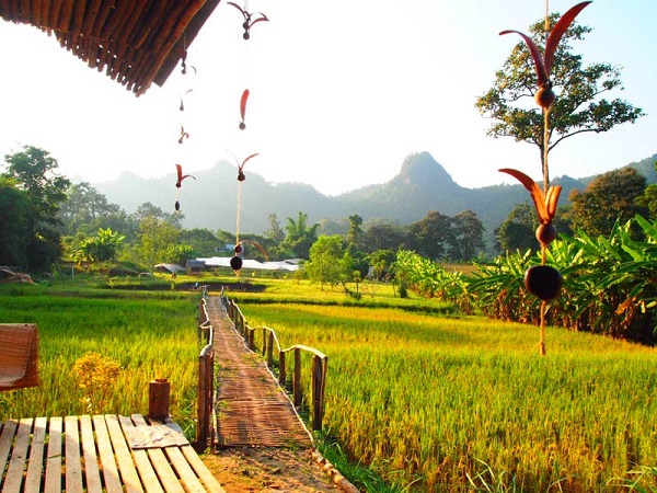 ที่พักวิวสุดเลิศ ที่พักวิวสุดเลิศ