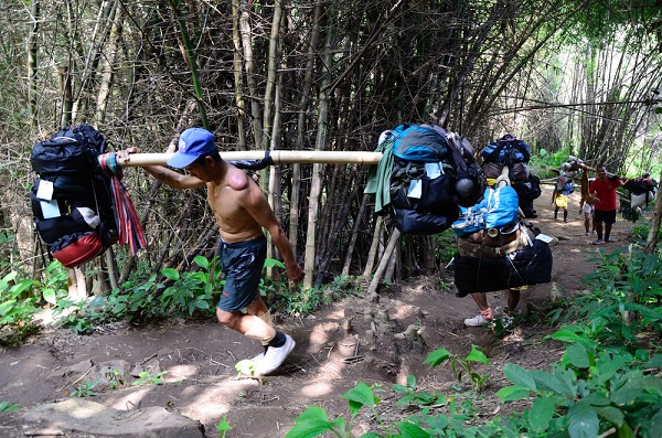5 เหตุผล ที่สักครั้งในชีวิตต้องไปพิชิต ภูกระดึง 5 เหตุผล ที่สักครั้งในชีวิตต้องไปพิชิต ภูกระดึง