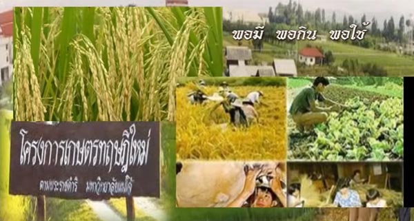 หลักเศรษฐกิจพอเพียง หลักเศรษฐกิจพอเพียง