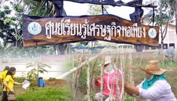 หลักเศรษฐกิจพอเพียง หลักเศรษฐกิจพอเพียง