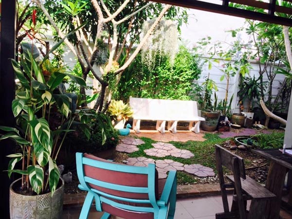 จัดสวนหลังบ้าน จัดสวนหลังบ้าน