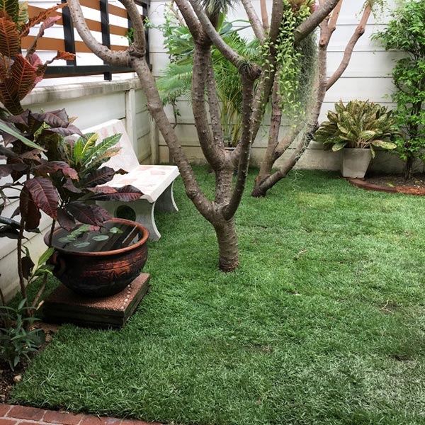 จัดสวนหลังบ้าน จัดสวนหลังบ้าน