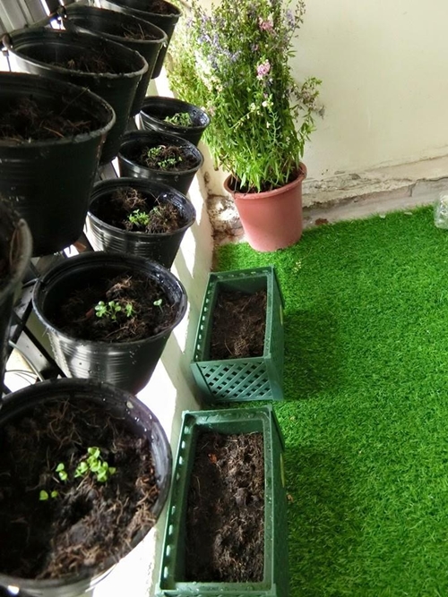 ทรมจนเหมือนได้ห้ตกแต่งห้องแฟลตเล็ก ๆ จากห้องพักสุดโองใหม่ ทรมจนเหมือนได้ห้ตกแต่งห้องแฟลตเล็ก ๆ จากห้องพักสุดโองใหม่