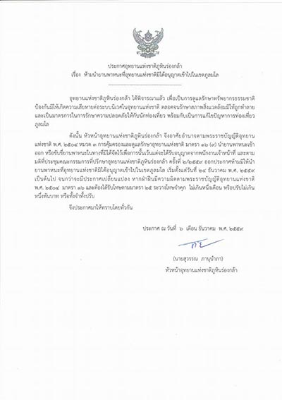 ดอกนางพญาเสือโคร่งภูลมโล ดอกนางพญาเสือโคร่งภูลมโล