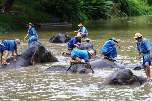 เที่ยวลำปางกับ 10 สถานที่สุดประทับใจน่าไปสัมผัส เที่ยวลำปางกับ 10 สถานที่สุดประทับใจน่าไปสัมผัส