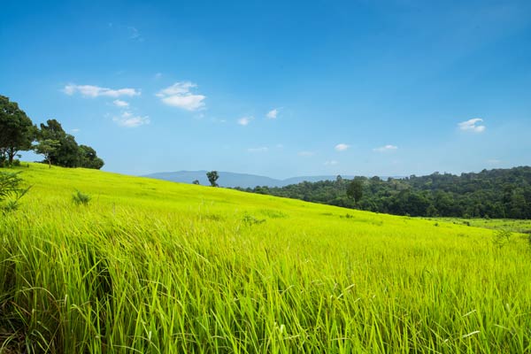 ที่เที่ยวภูเขาใกล้กรุงเทพฯ ที่เที่ยวภูเขาใกล้กรุงเทพฯ