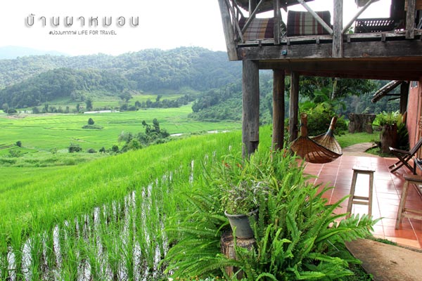 นาขั้นบันได เชียงใหม่ นาขั้นบันได เชียงใหม่