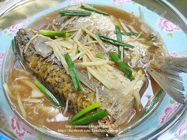 ปลานึ่ง ปลาต้ม ปลานึ่ง ปลาต้ม