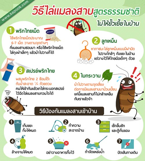 สัตว์มีพิษ สัตว์มีพิษ