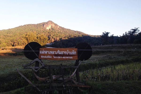 ที่พักบ้านแม่กลางหลวง ที่พักบ้านแม่กลางหลวง