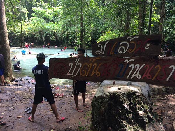 ป่าต้นน้ำบ้านน้ำราด ป่าต้นน้ำบ้านน้ำราด