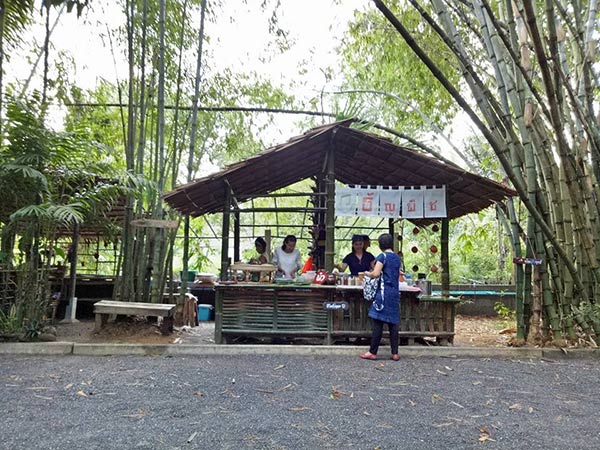 ป่าไผ่สร้างสุข พัทลุง ป่าไผ่สร้างสุข พัทลุง
