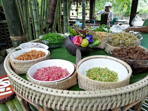 ป่าไผ่สร้างสุข พัทลุง ป่าไผ่สร้างสุข พัทลุง