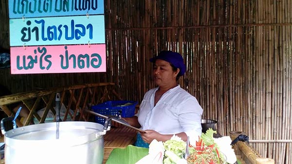 ป่าไผ่สร้างสุข พัทลุง ป่าไผ่สร้างสุข พัทลุง