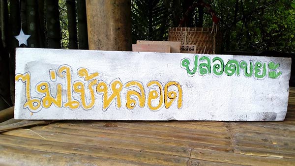 ป่าไผ่สร้างสุข พัทลุง ป่าไผ่สร้างสุข พัทลุง