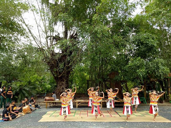 ป่าไผ่สร้างสุข พัทลุง ป่าไผ่สร้างสุข พัทลุง