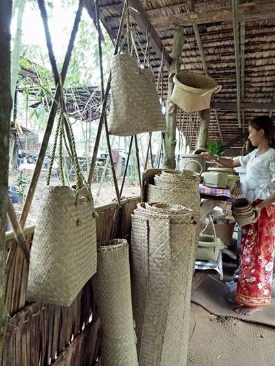 ป่าไผ่สร้างสุข พัทลุง ป่าไผ่สร้างสุข พัทลุง