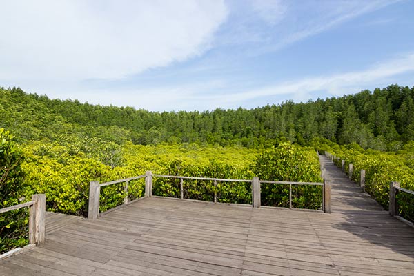 เที่ยวทุ่งโปรงทอง เที่ยวทุ่งโปรงทอง