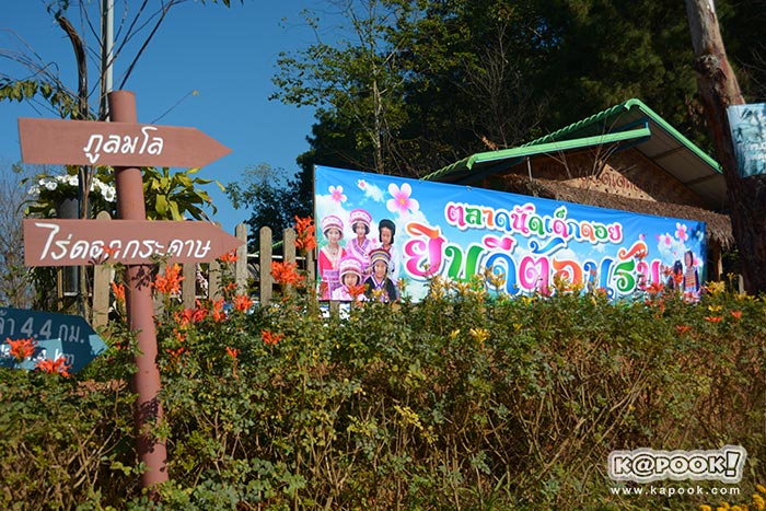 เที่ยวภูลมโล เที่ยวภูลมโล