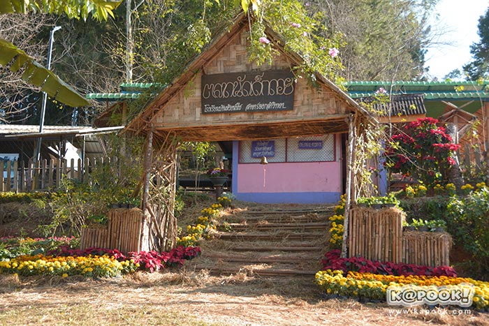 เที่ยวภูลมโล เที่ยวภูลมโล