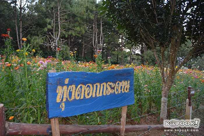 เที่ยวภูลมโล เที่ยวภูลมโล