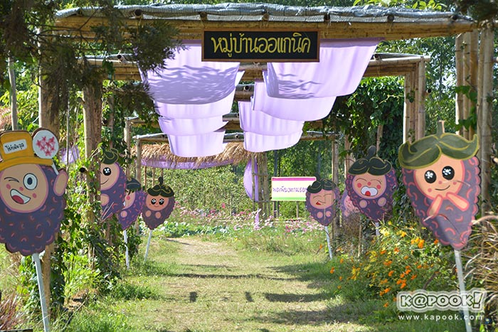 เที่ยวภูลมโล เที่ยวภูลมโล