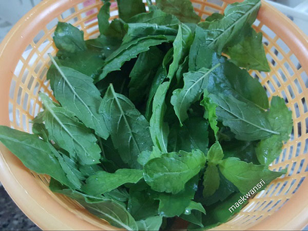 ผัดกะเพราไก่ติดกระดูก ผัดกะเพราไก่ติดกระดูก