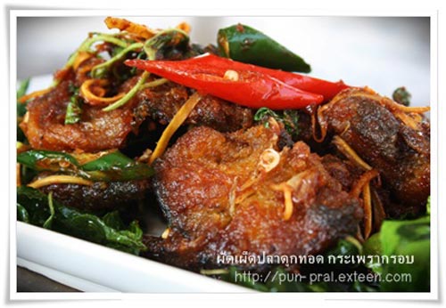 ผัดเผ็ด 17 ผัดเผ็ด 17