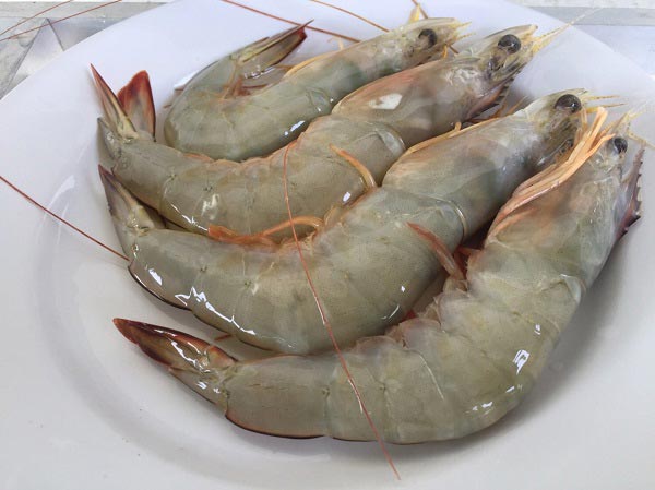 ข้าวผัดกุ้ง ข้าวผัดกุ้ง