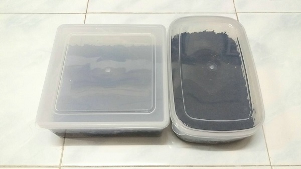 วิธีเพาะเมล็ดแคคตัสแบบปิด วิธีเพาะเมล็ดแคคตัสแบบปิด