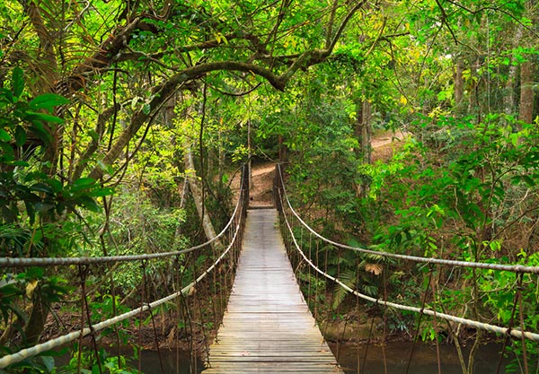 อุทยานแห่งชาติเขาใหญ่ อุทยานแห่งชาติเขาใหญ่