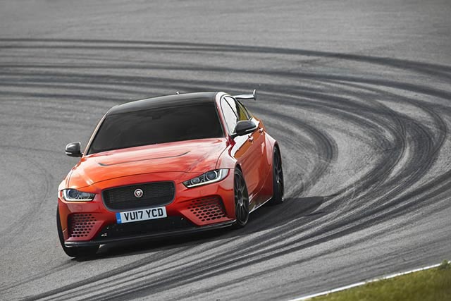 Jaguar Jaguar