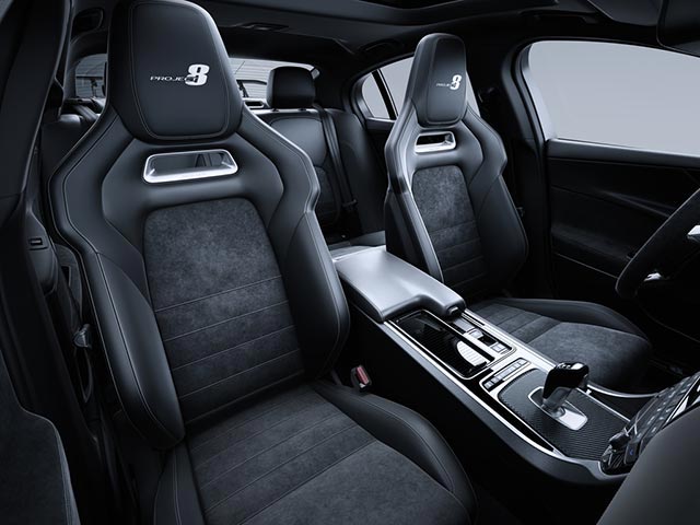 Jaguar Jaguar