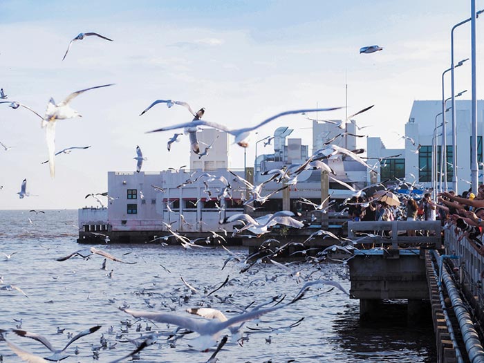 บางปู บางปู