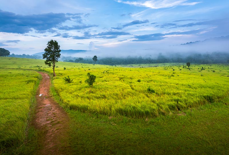 15 อุทยานแห่งชาติ 15 อุทยานแห่งชาติ