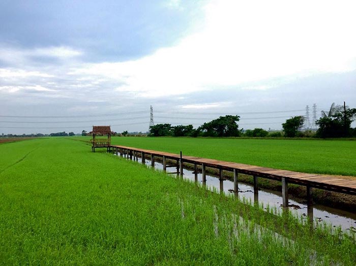 ที่เที่ยวสะพานไม้ ที่เที่ยวสะพานไม้