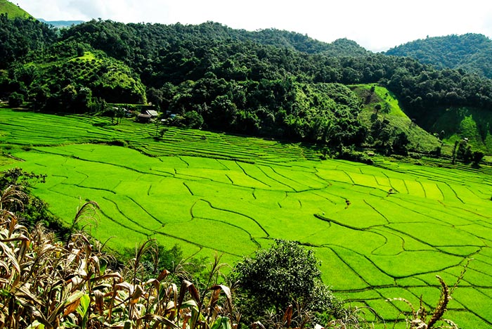 ที่เที่ยวน่าน ที่เที่ยวน่าน