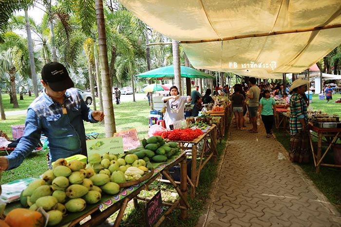 ตลาดในสวน สระบุรี ตลาดในสวน สระบุรี