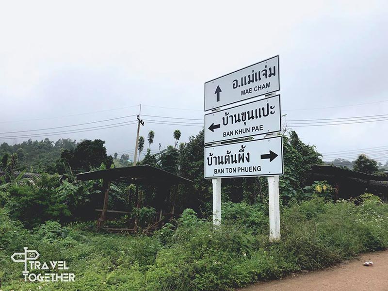 ทุ่งดอกไฮเดรนเยีย โครงการหลวงขุนแปะ ทุ่งดอกไฮเดรนเยีย โครงการหลวงขุนแปะ