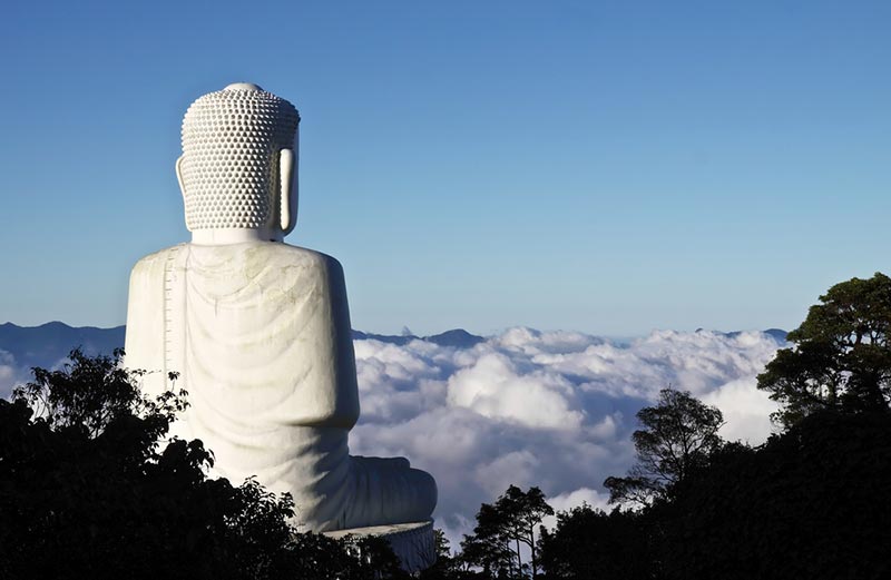 บานาฮิลล์ บานาฮิลล์