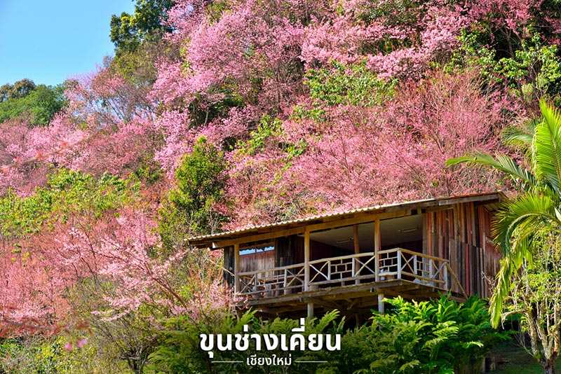 ที่เที่ยวหน้าหนาว 2561 ที่เที่ยวหน้าหนาว 2561