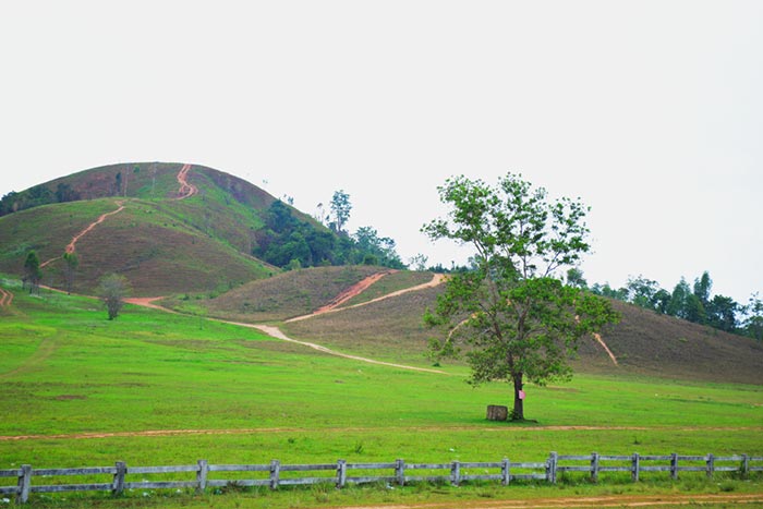 ที่เที่ยวหน้าฝน ที่เที่ยวหน้าฝน