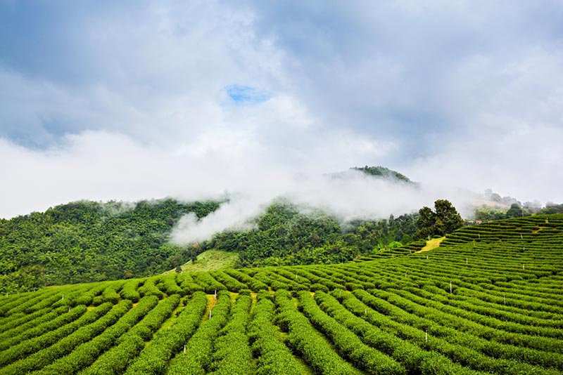 ที่เที่ยวปลายฝนต้นหนาว ที่เที่ยวปลายฝนต้นหนาว