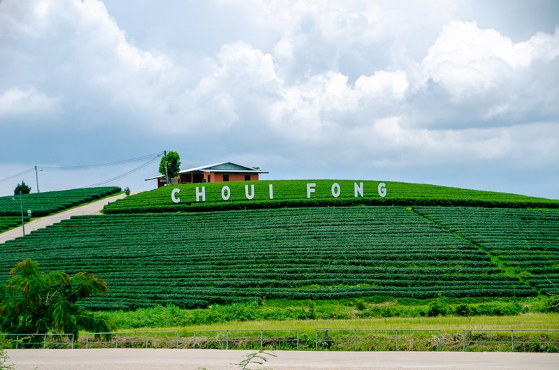 ที่เที่ยวเชียงราย ที่เที่ยวเชียงราย