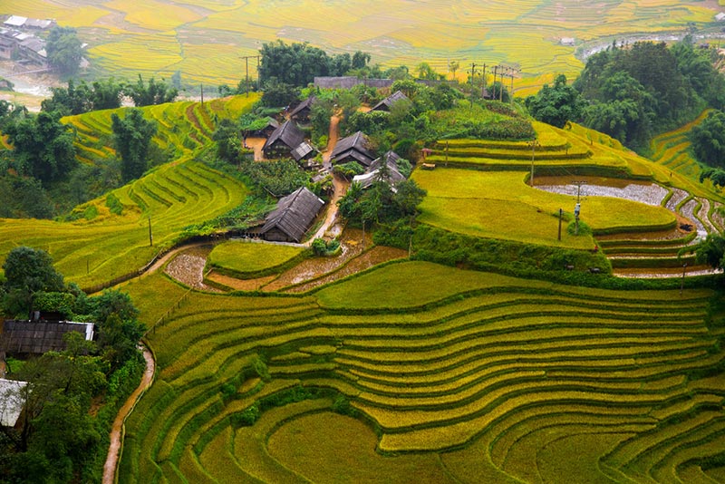 เวียดนาม เวียดนาม