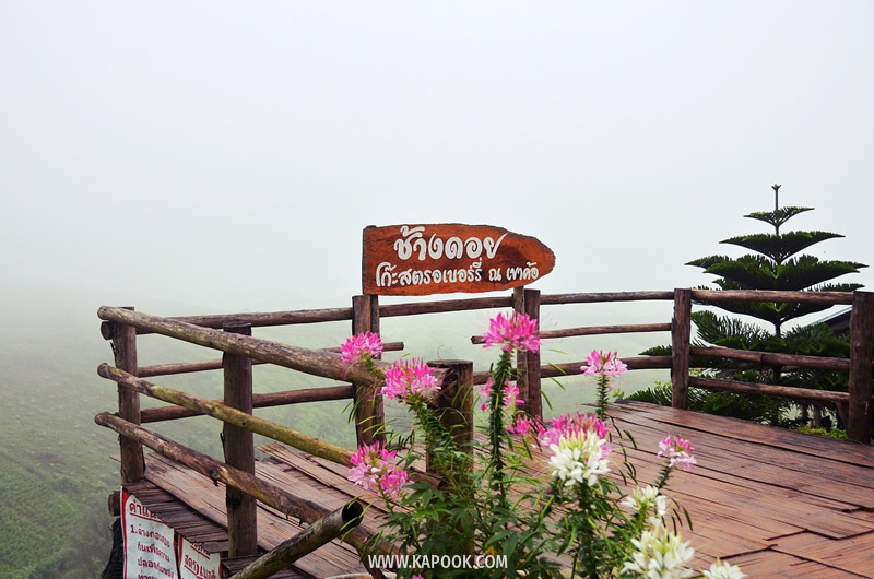 เที่ยวเขาค้อ เที่ยวเขาค้อ