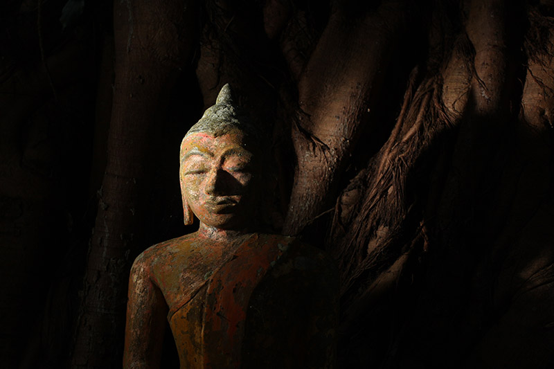 ทำนายฝัน ทำนายฝัน