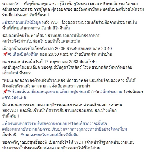 เตี้ย มช. เตี้ย มช.